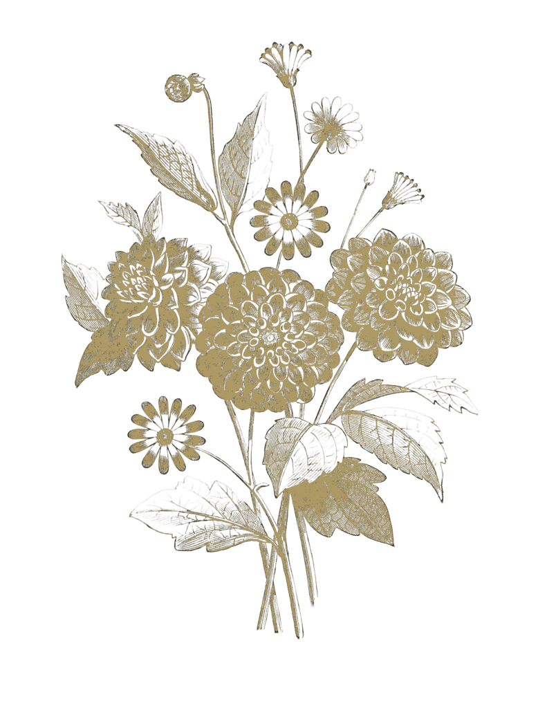 dessin fleurs Maison de Beaut&eacute; Belle de Ma&iuml;a